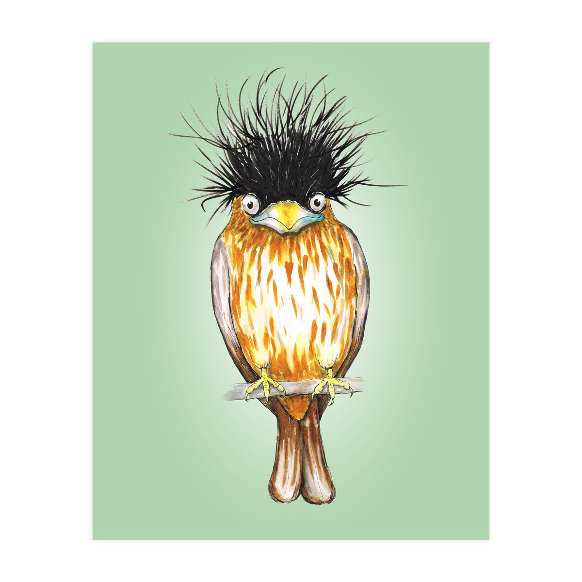 Brahminy starling (Print Only)