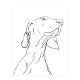 Smell  (Print Only) thumbnail