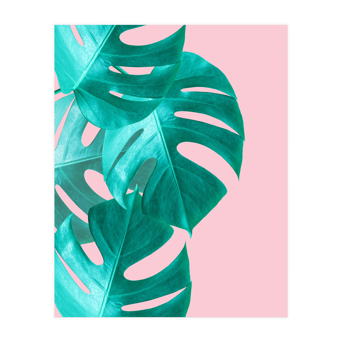 Tropical collage IV (Print Only)