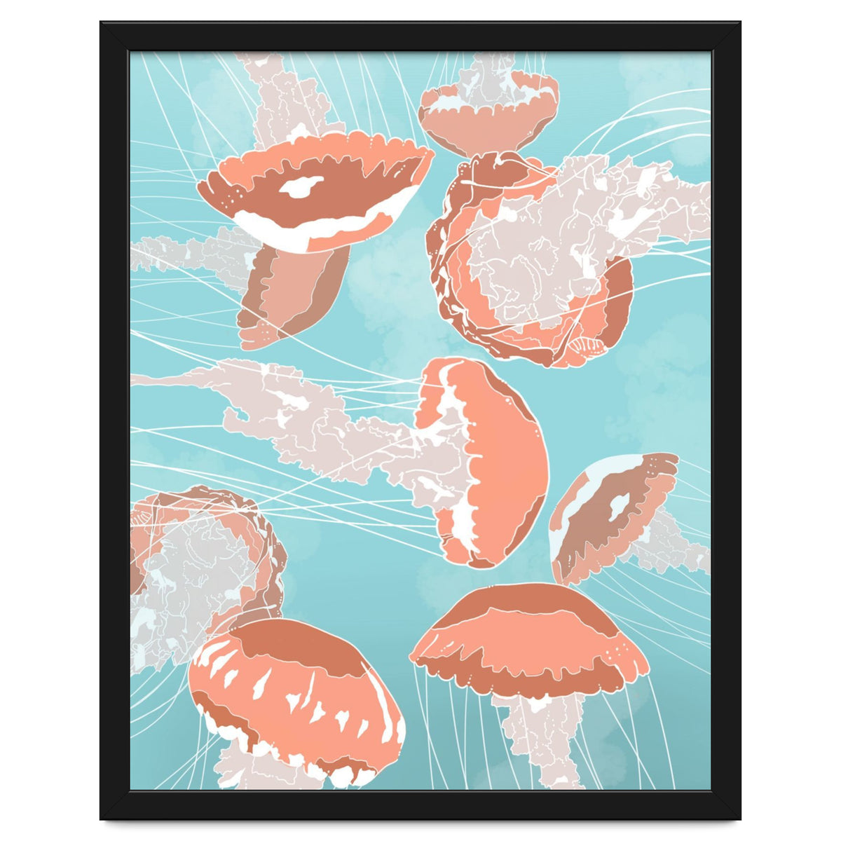 Jellyfish
