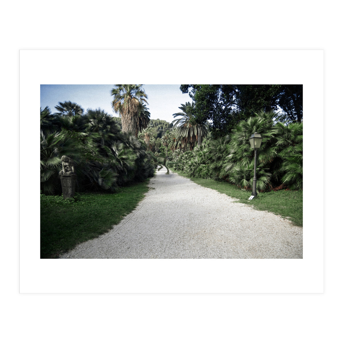 Fuckin' Fossil (Print Only)