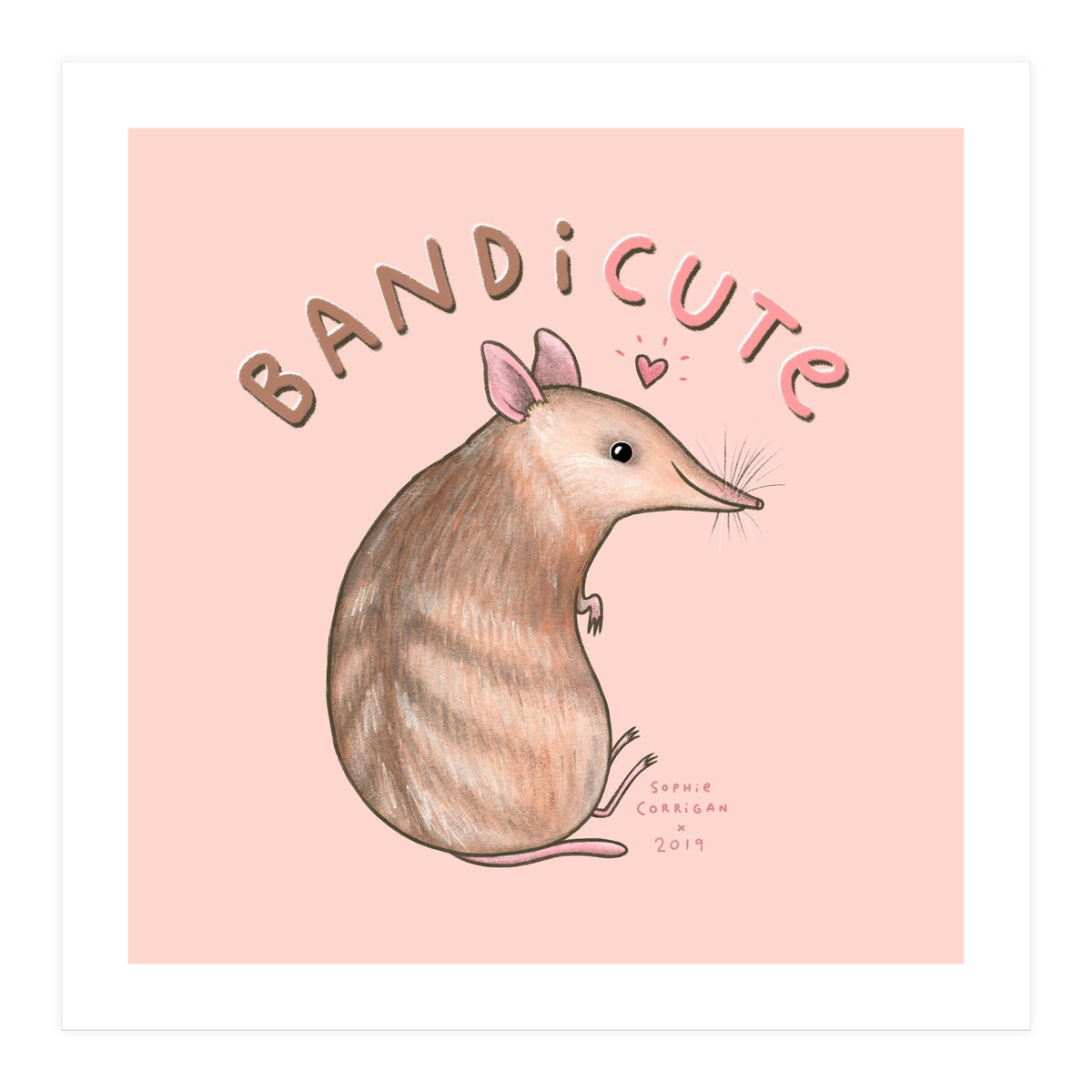 Bandicute (Print Only)