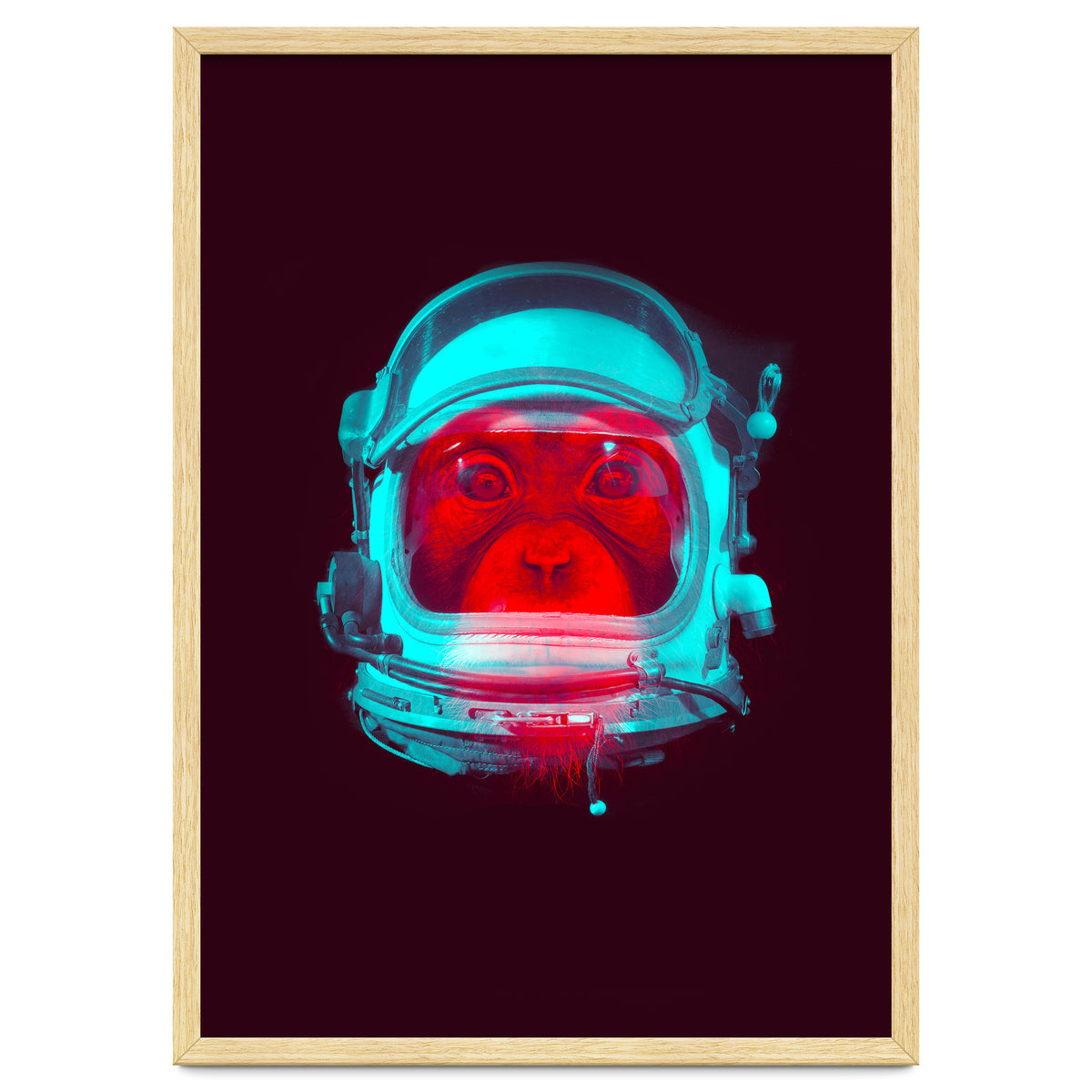 Astronaut