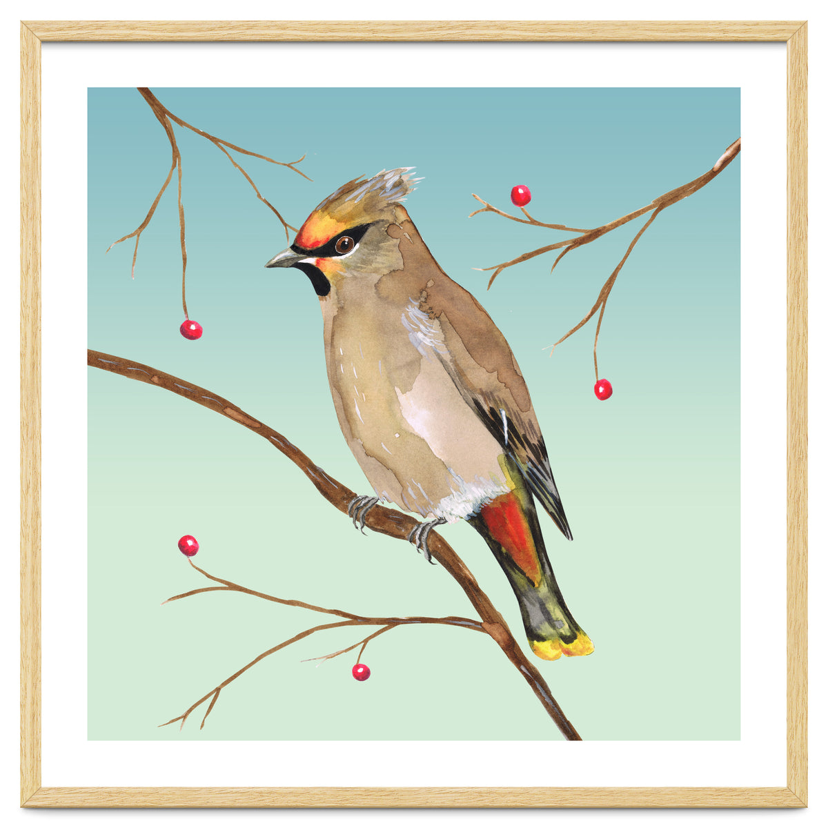 Bohemian waxwing
