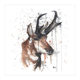 Red deer - Wildlife Collection (Print Only) thumbnail