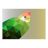 Red Crested Turaco Low Poly Art (Print Only) thumbnail