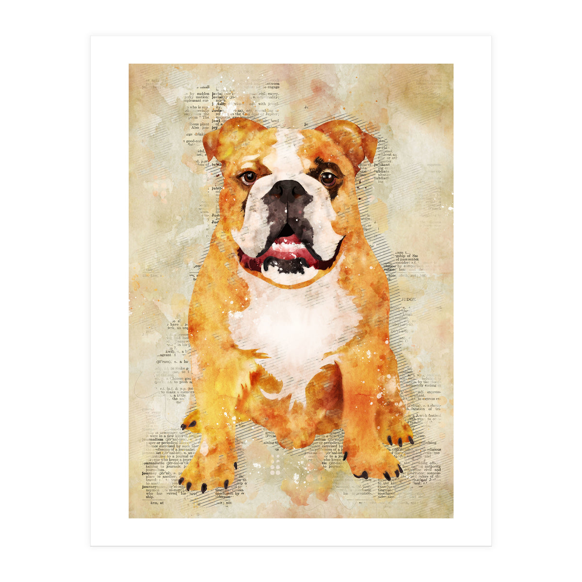 Boxer Dog (Print Only)