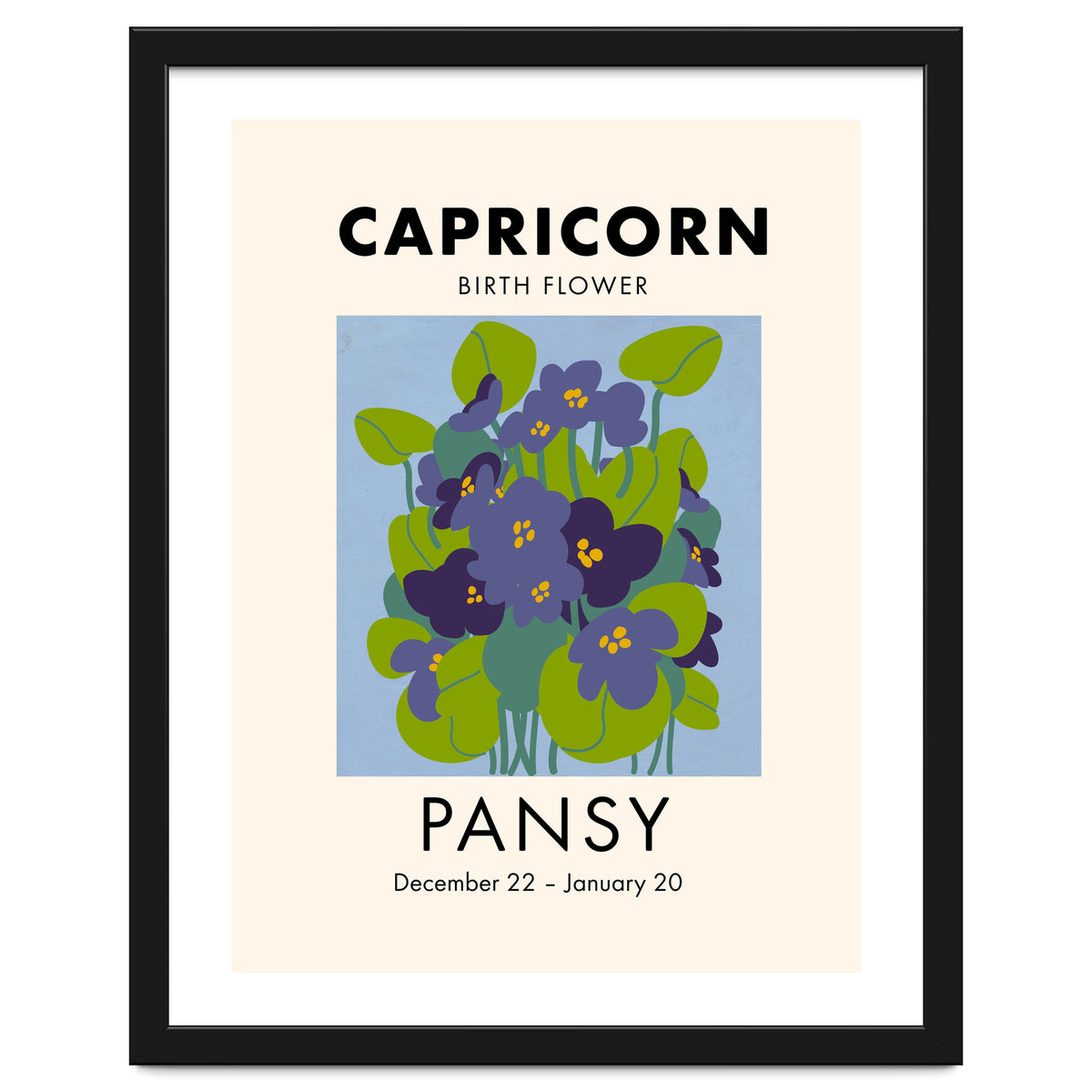 Capricorn Birth Flower Pansy