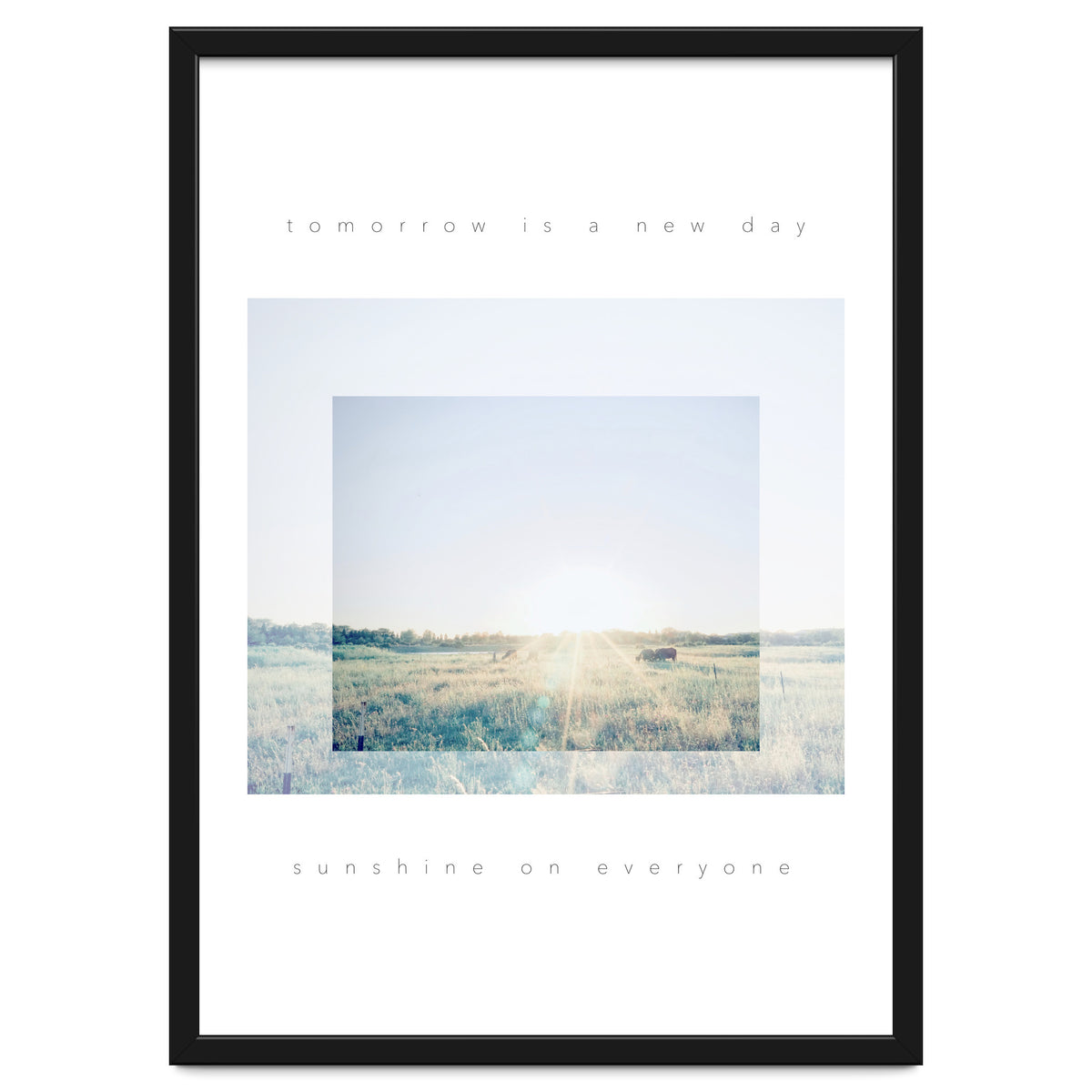 sunshine on everyone