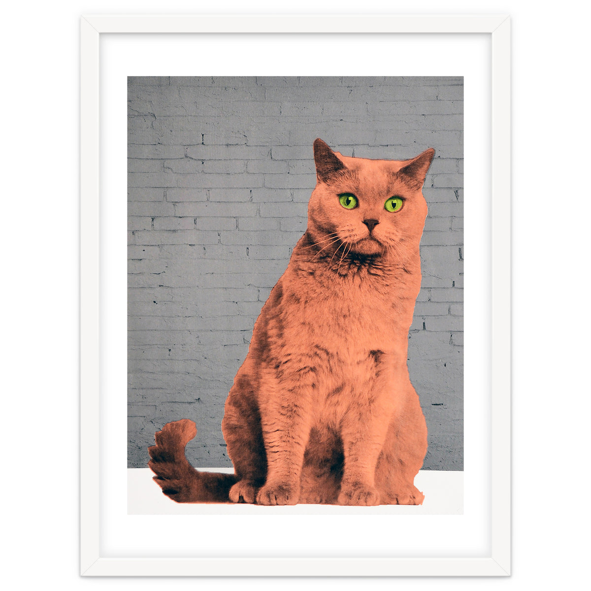 Everybody Wants To Be A Cat