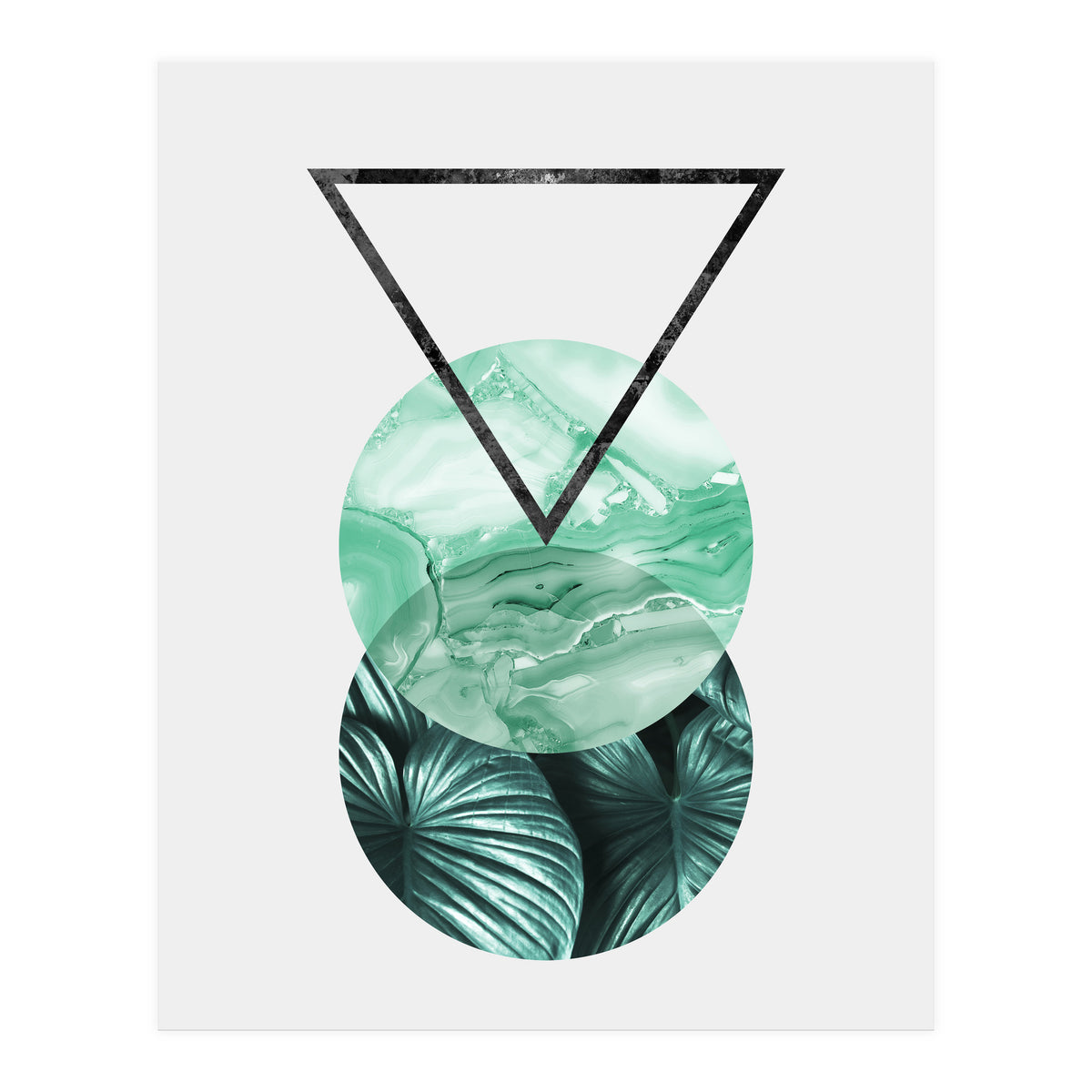 Botanical and geometric II (Print Only)