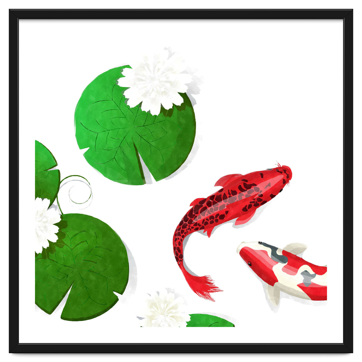 Watercolor Koi Fish Background