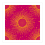 Sunflower (Print Only) thumbnail