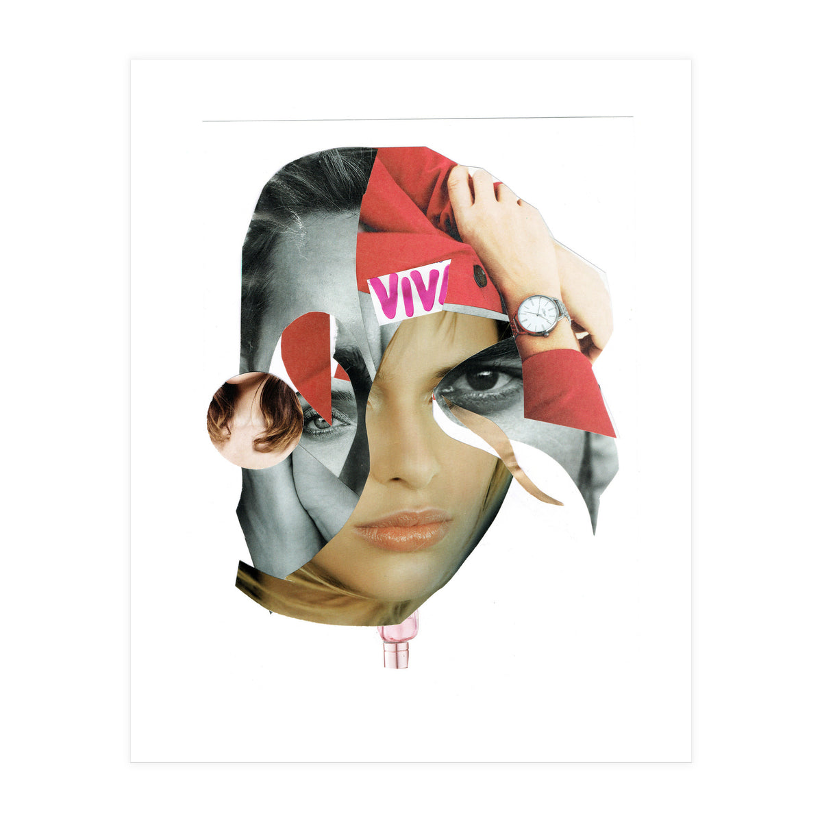 Another Portrait Disaster X (Print Only)