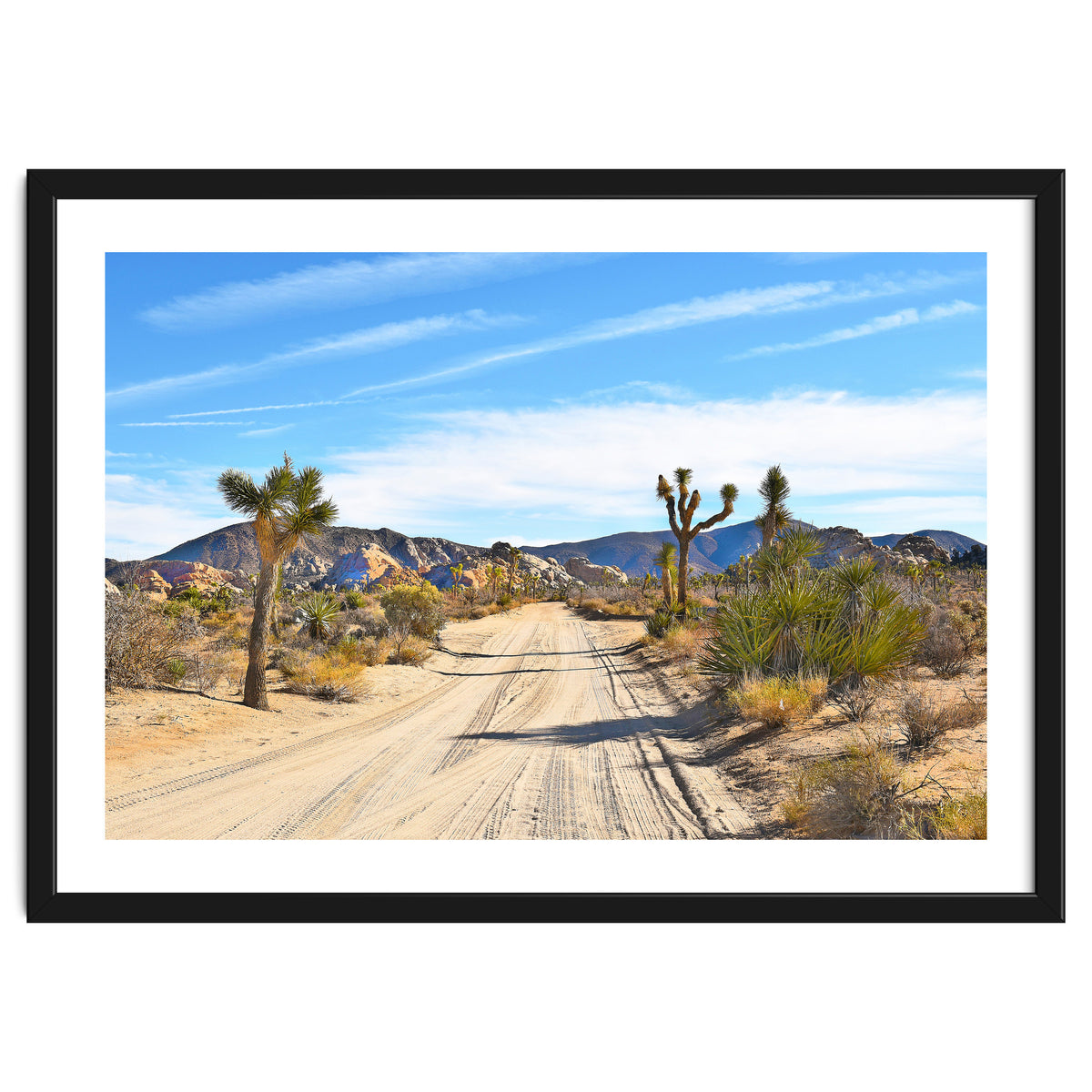 Joshua Tree II