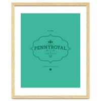 Pennyroyal Tea