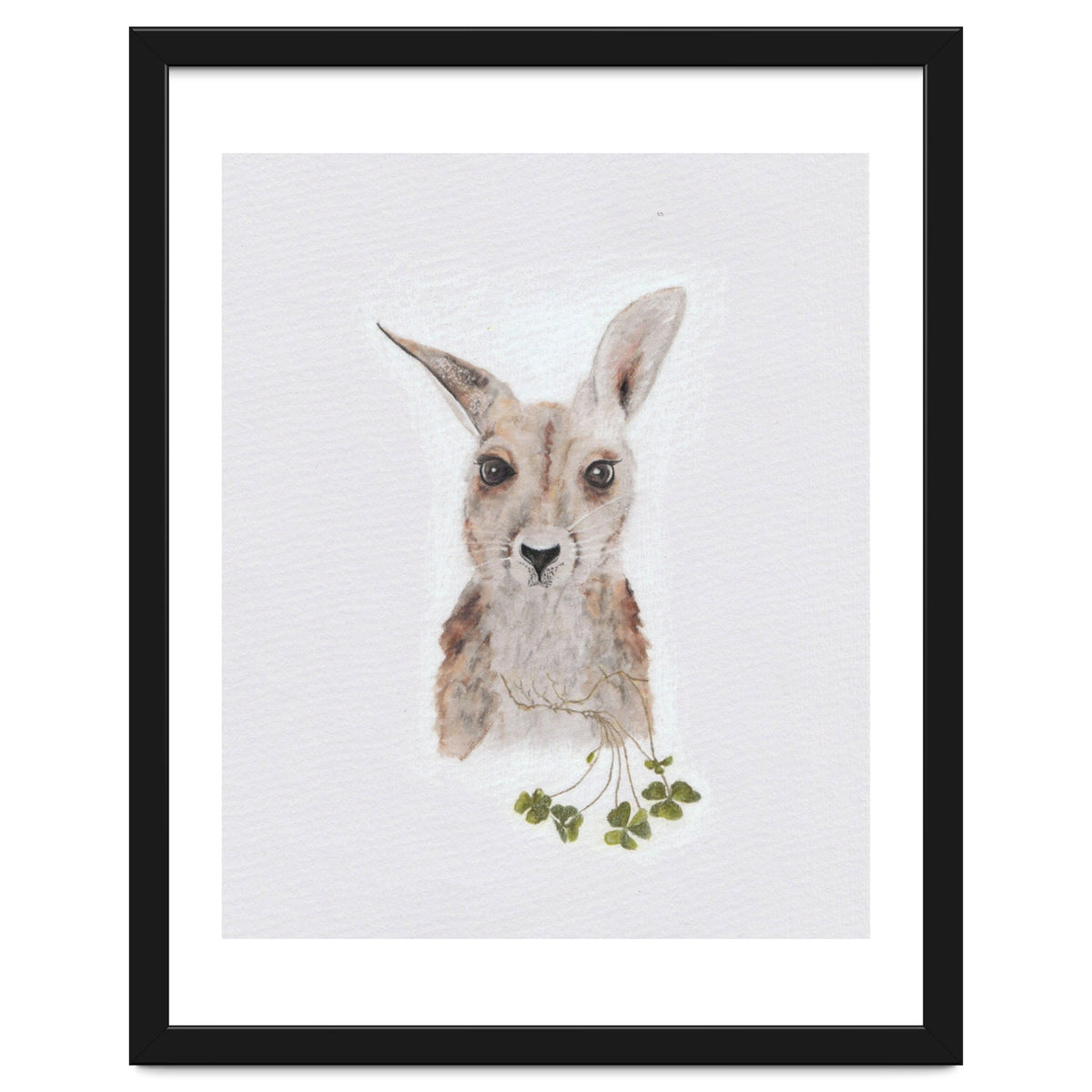 Wallaby - Australian Animal Series