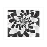 Mono Chrome Flower Spiral   (Print Only) thumbnail