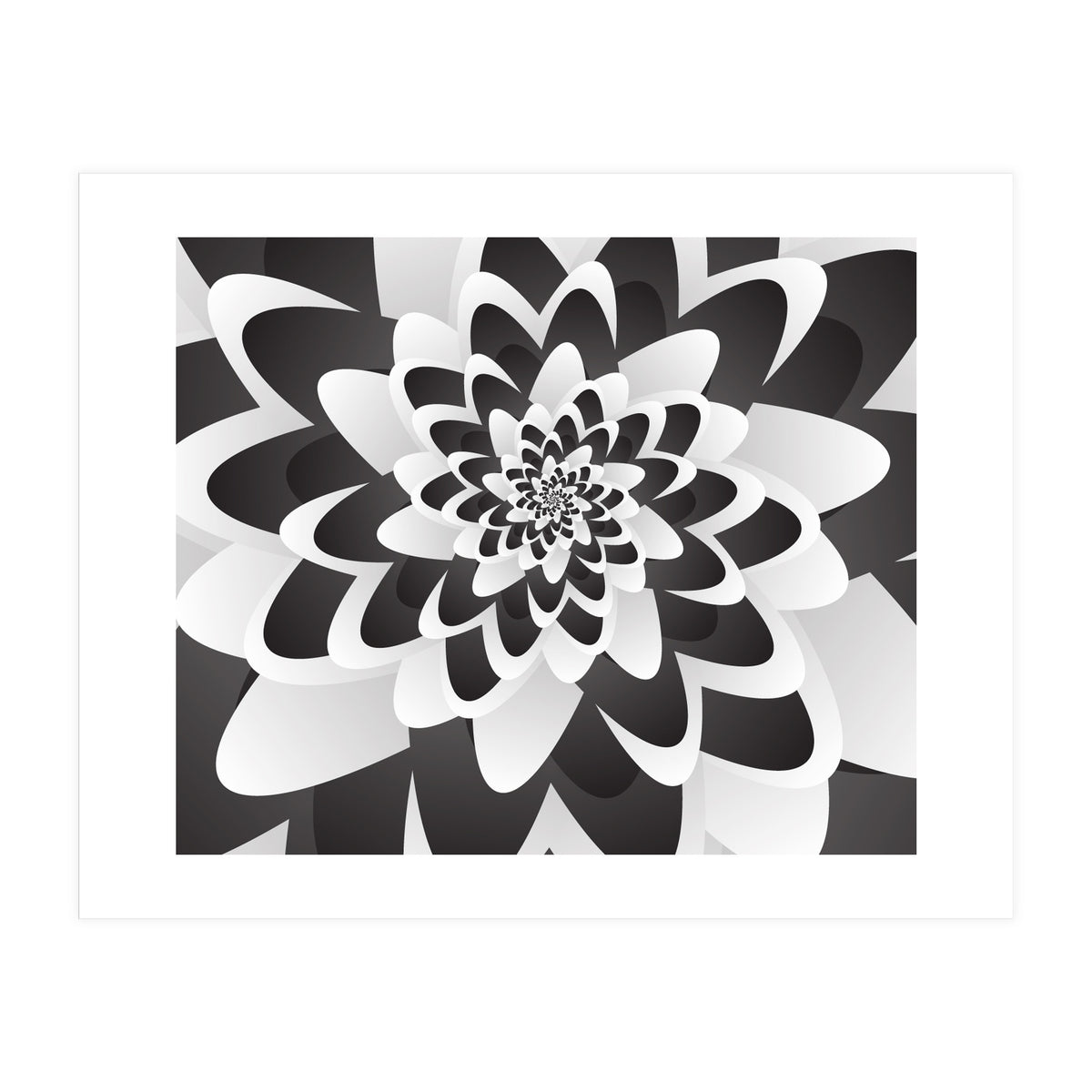 Mono Chrome Flower Spiral   (Print Only)