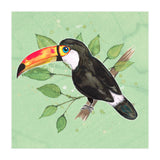 Toco toucan (Print Only) thumbnail