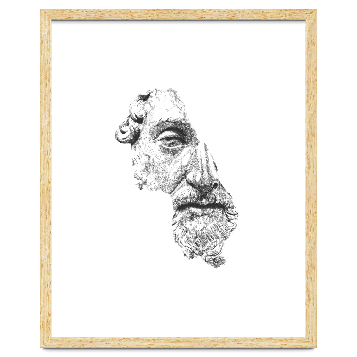 MARCUS AURELIUS ANTONINUS AUGUSTUS / black and white