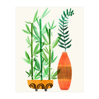 Bamboo And Fern (Print Only)