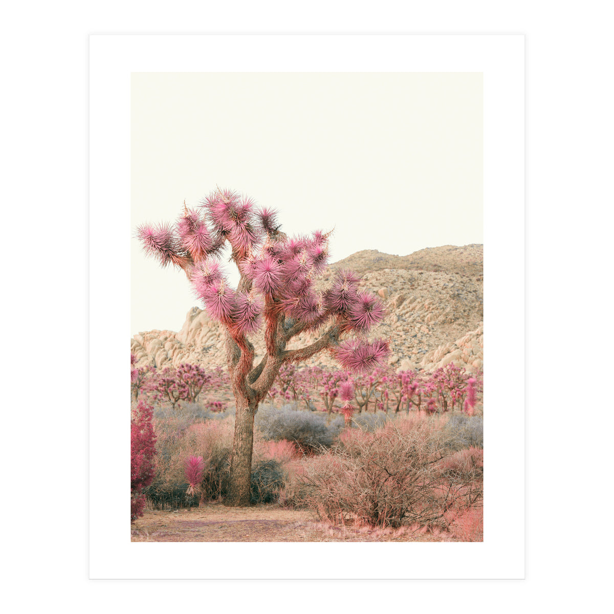 Boho Joshua Tree Cactus (Print Only)