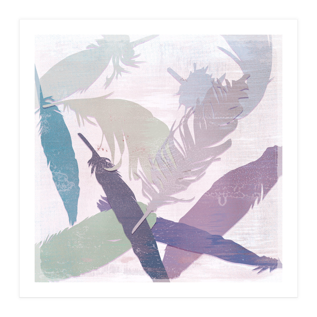Feathers (Print Only)