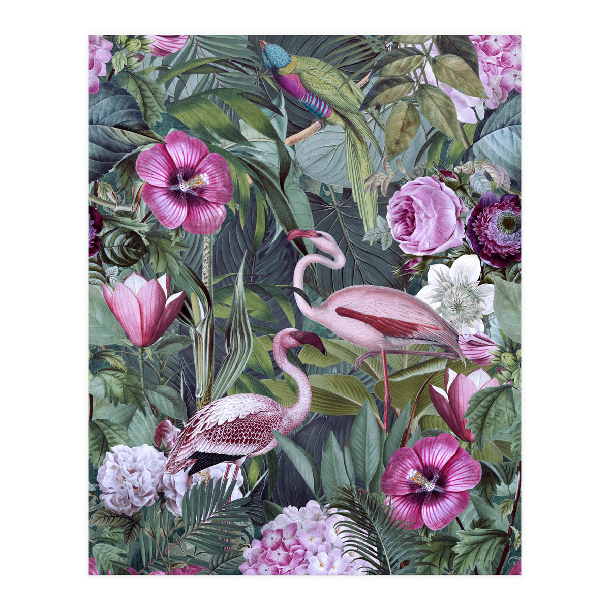 Flamingos 3 (Print Only)