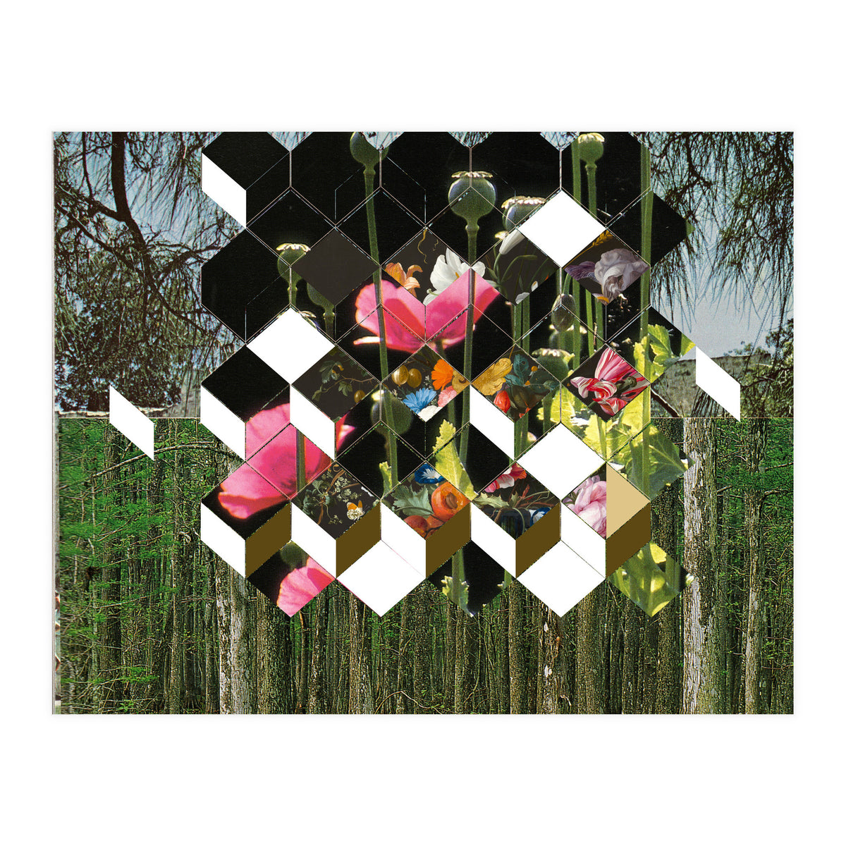 The Green (Print Only)