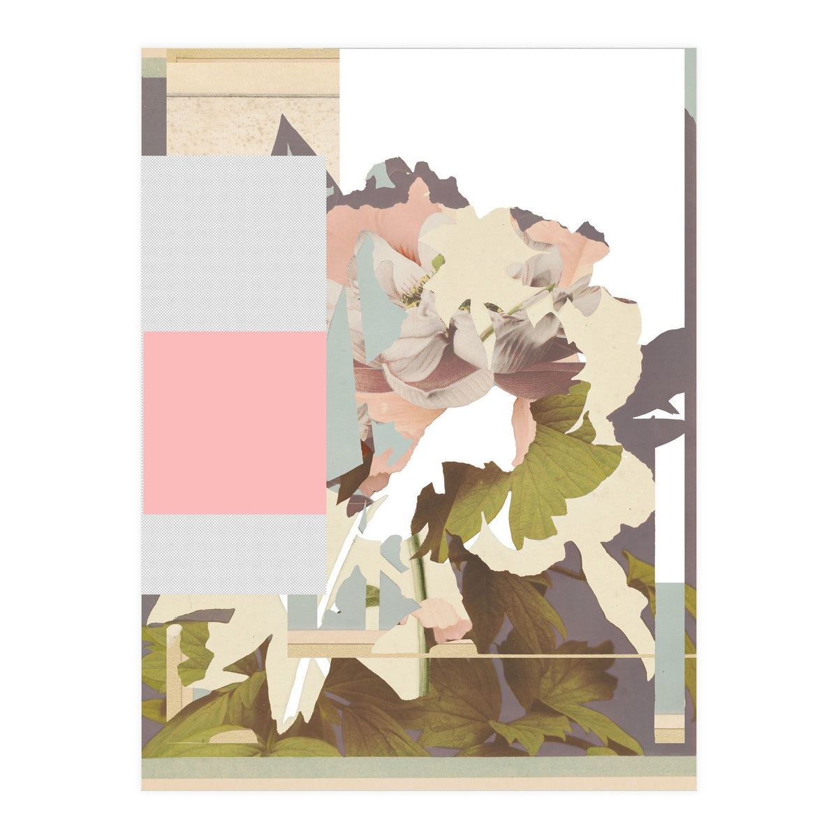 The First Plant · F (Print Only)