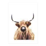 Highland Cow Portrait (Print Only) thumbnail