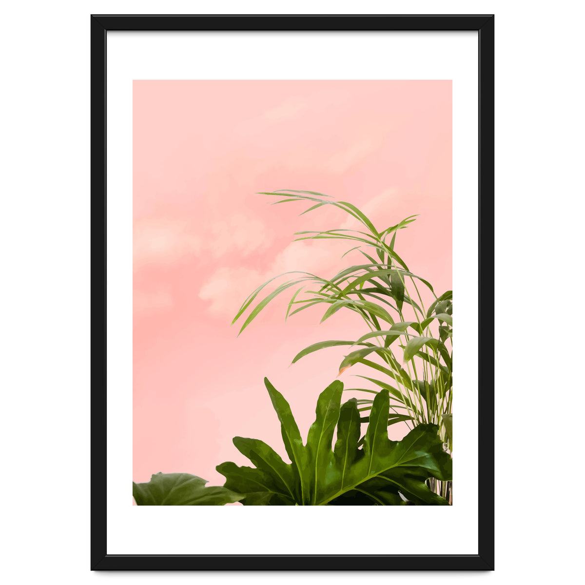 Minimal Botanical