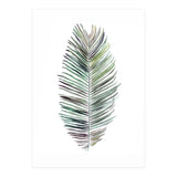 Botanical Illustration Cocos Palm (Print Only) thumbnail