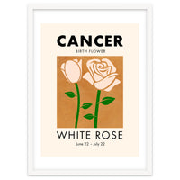 Cancer Birth Flower White Rose