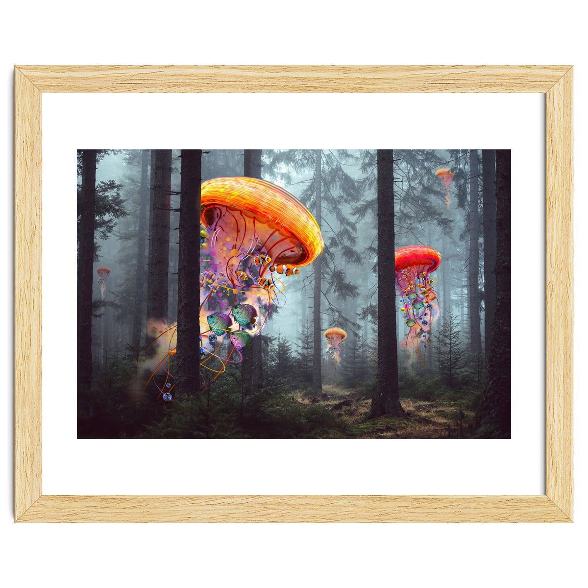 Forest Jellyfish For Print7000
