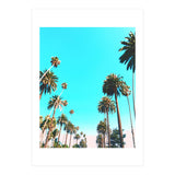 OC (Print Only) thumbnail