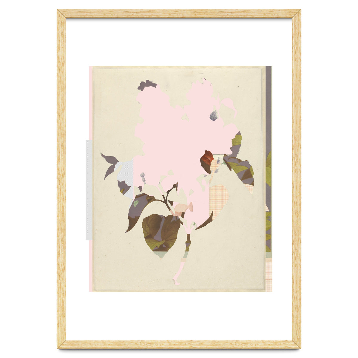 The First Plant · G