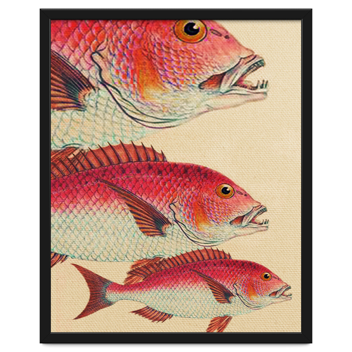 Fish Classic Designs 7