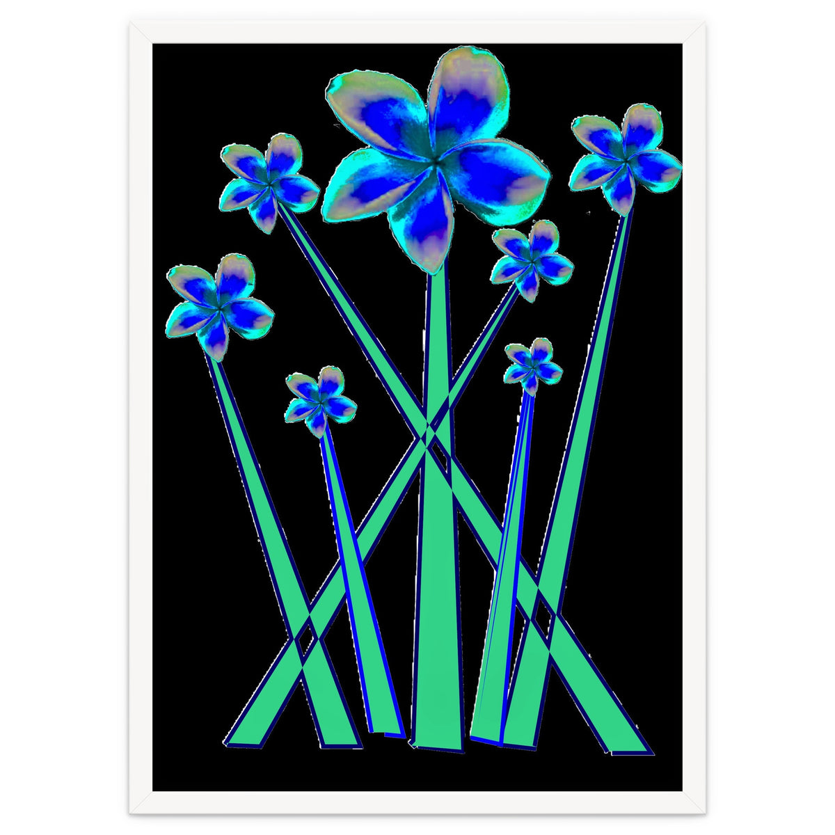 Blue flowers on black.