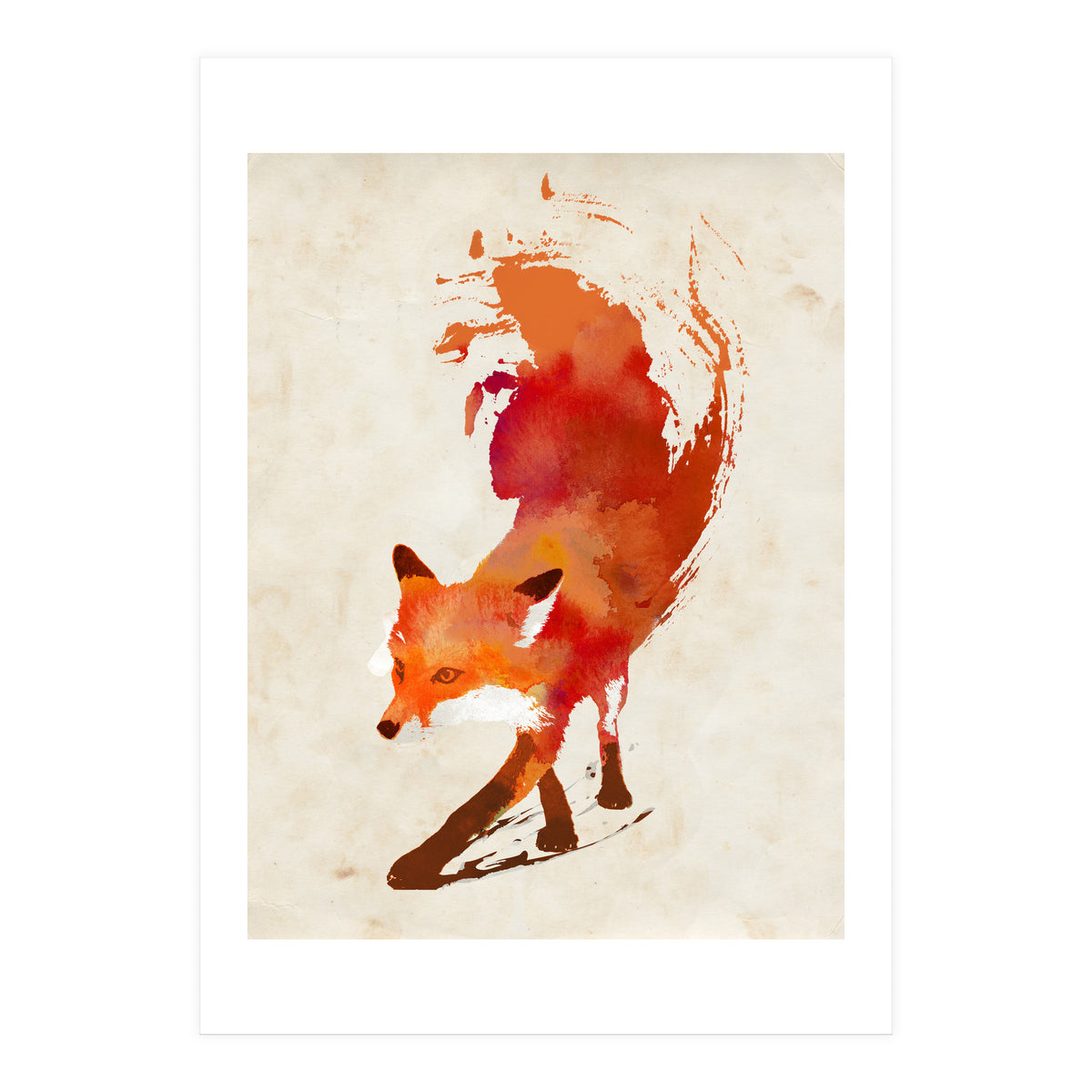 Vulpes Vulpes (Print Only)