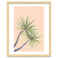 Tropical Serenity | Botanical Nature Plants | Boho Jungle Floral Garden | Watercolor Palm Painting