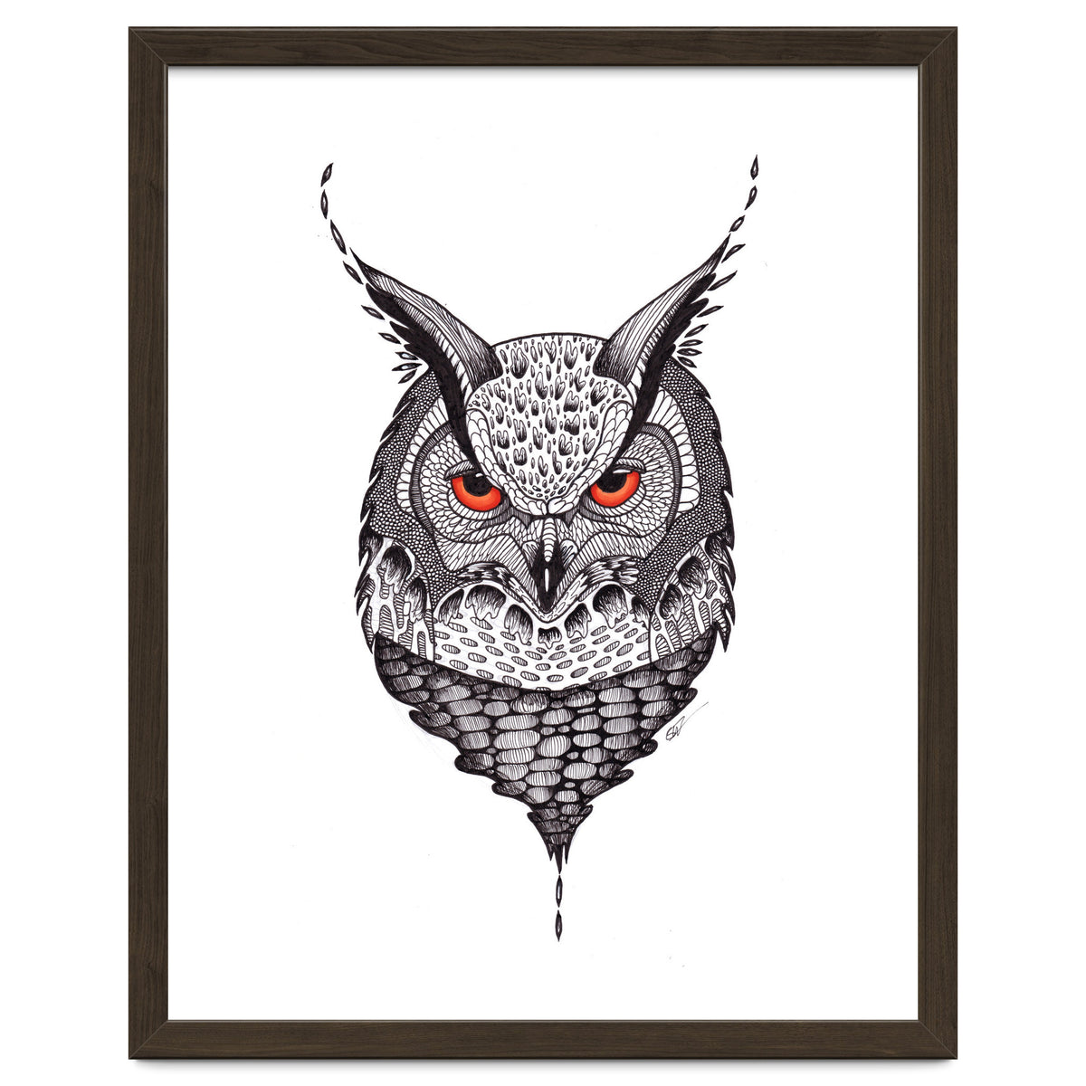 Owl