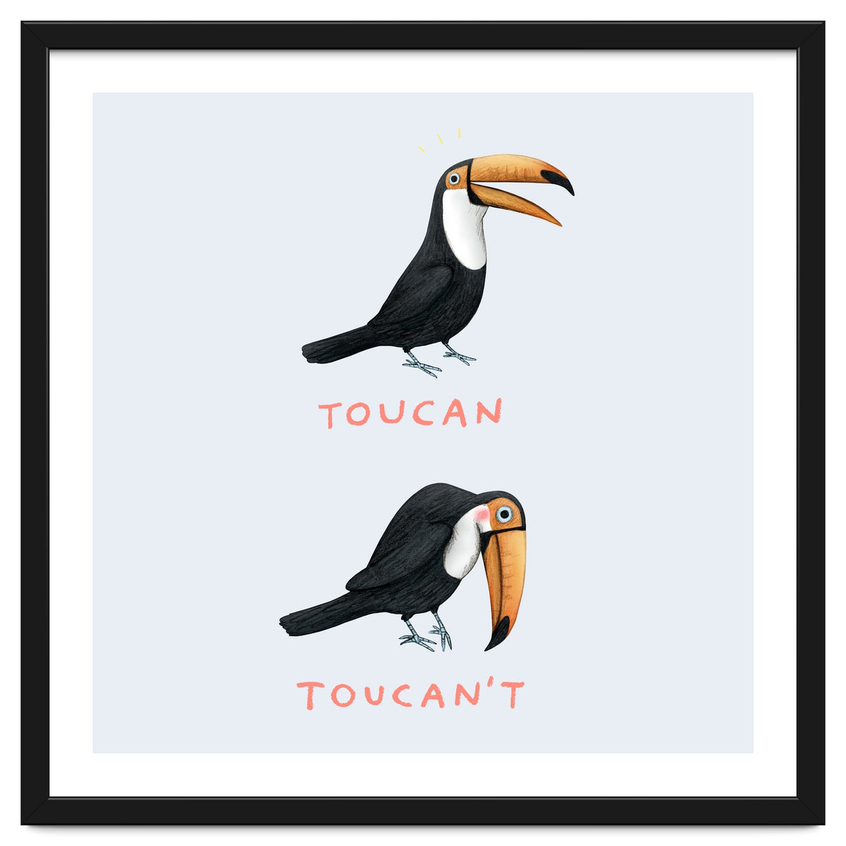 Toucan Toucan't