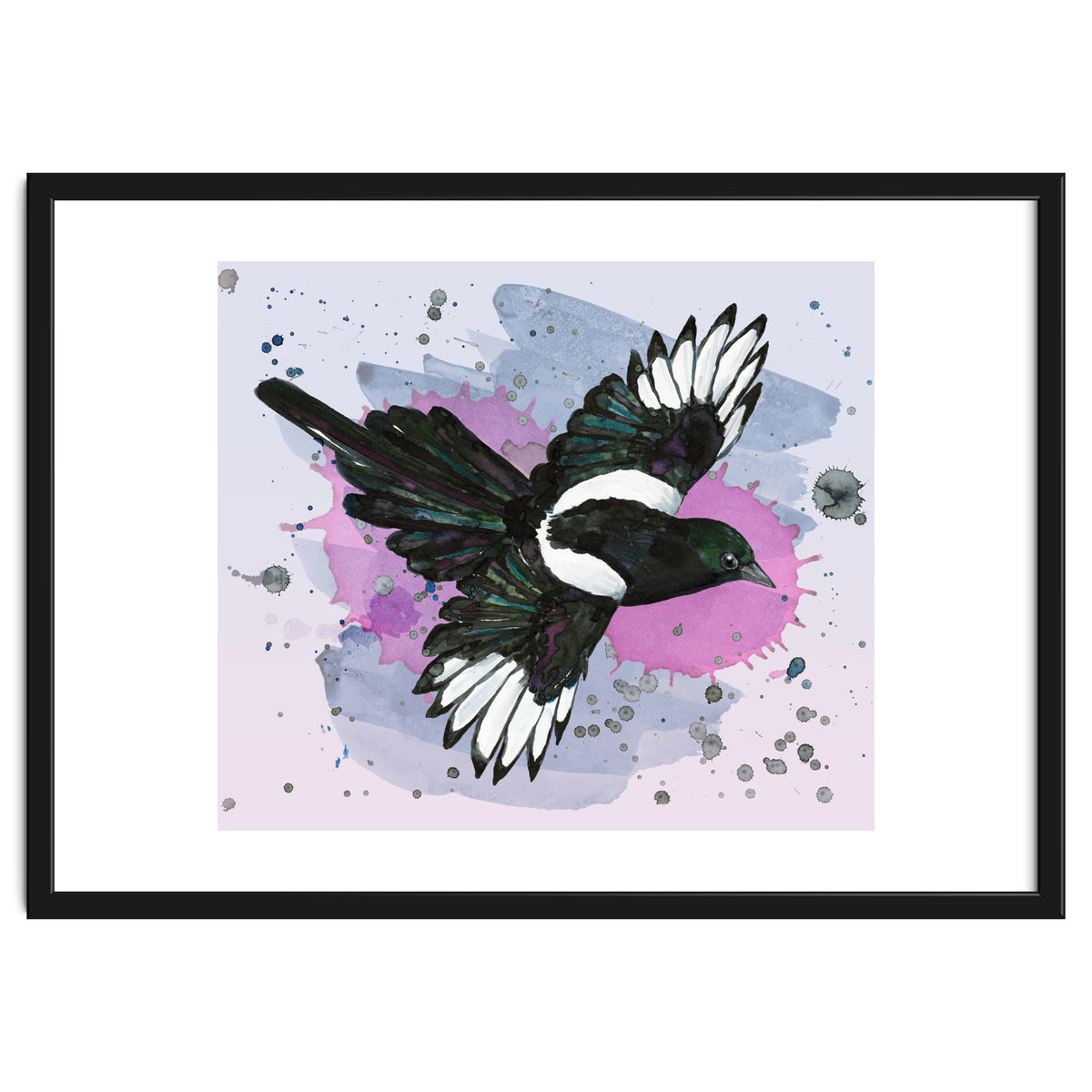 A watercolor drawing of a flying magpie
