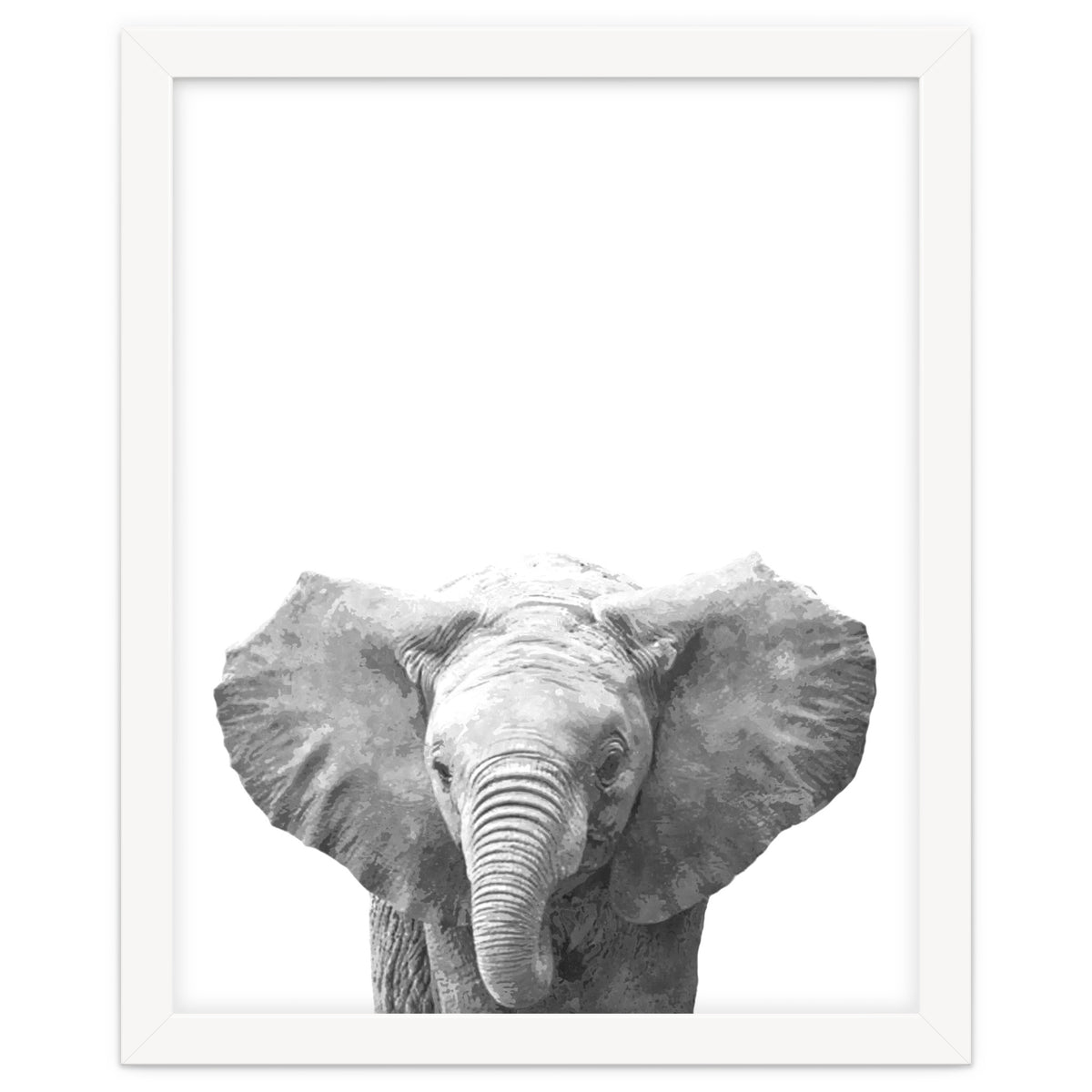 Black and White Baby Elephant