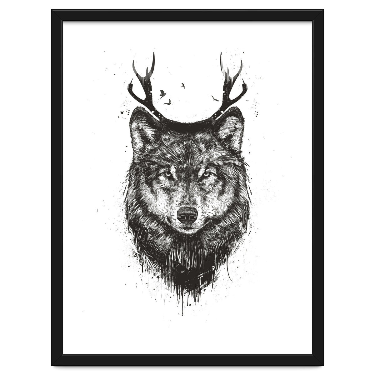 Deer Wolf Bw