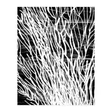 Desert Colours Collection 6 (Print Only) thumbnail