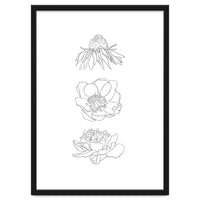 Hand Drawn Flowers