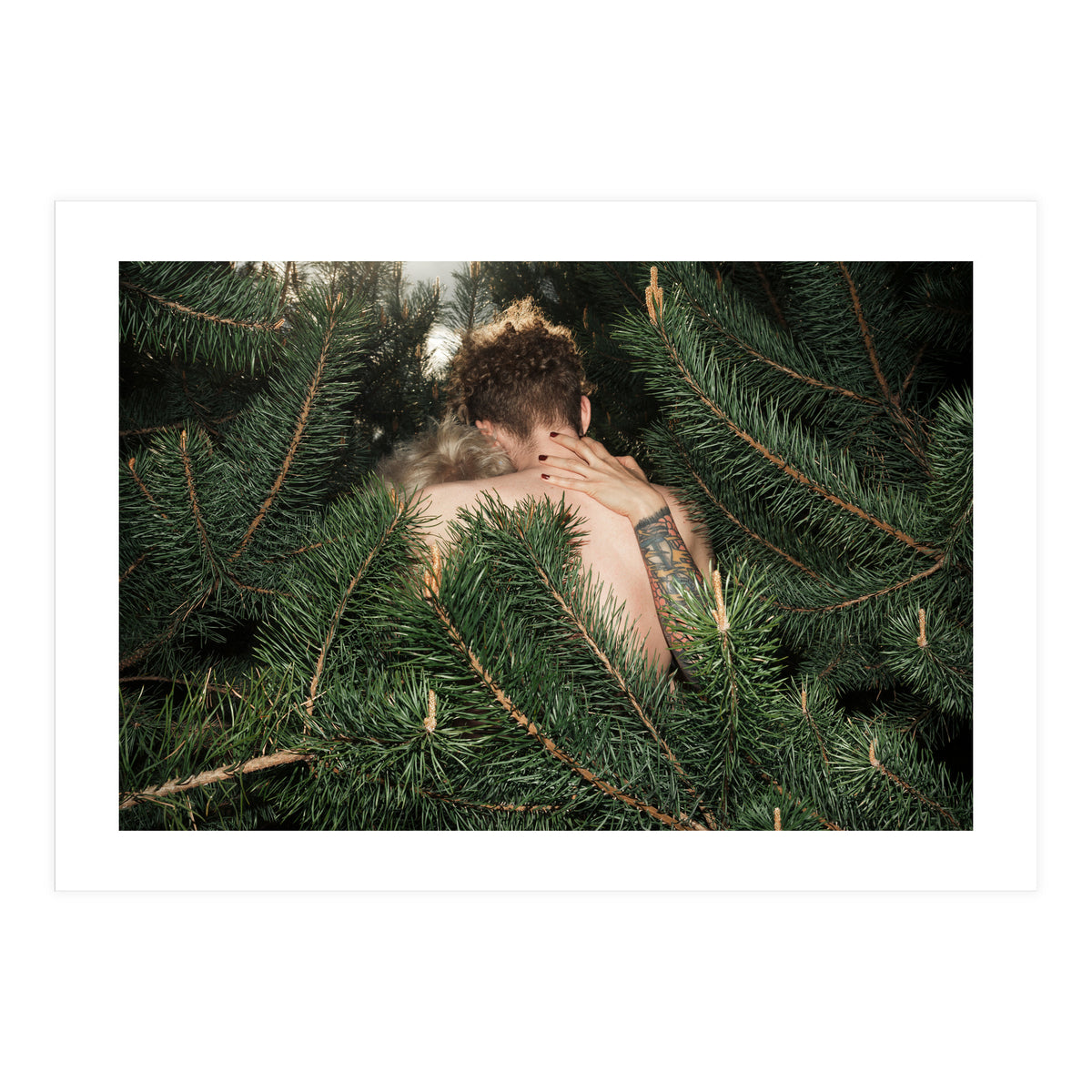 Born Free (Print Only)